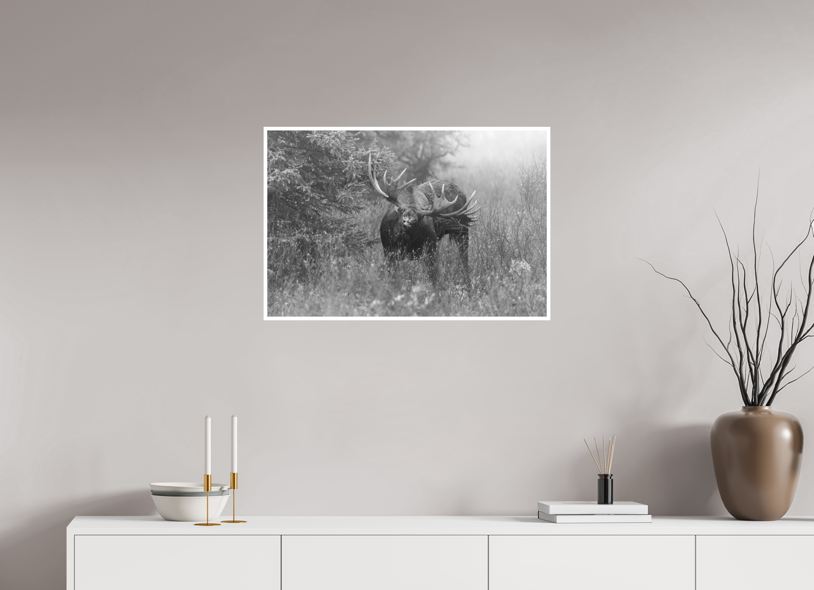 30 x 20″, Hahnemühle Photo Rag Moose Courtship