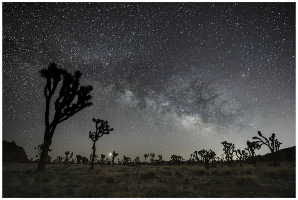 Main image Desert Dawn Under the Milky Way