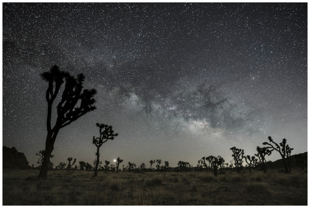 Main image Desert Dawn Under the Milky Way
