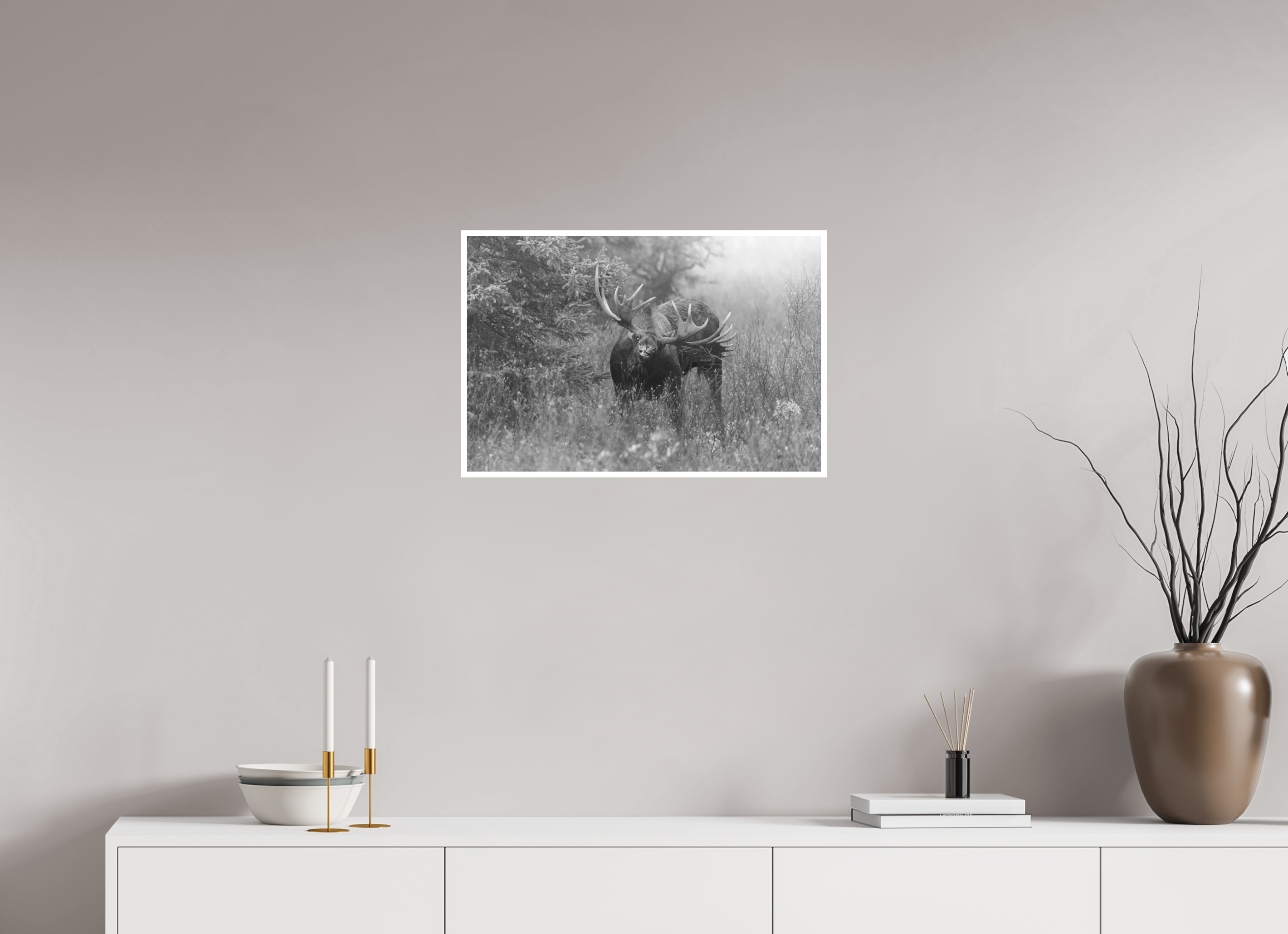 24 x 16″, Hahnemühle Photo Rag Moose Courtship