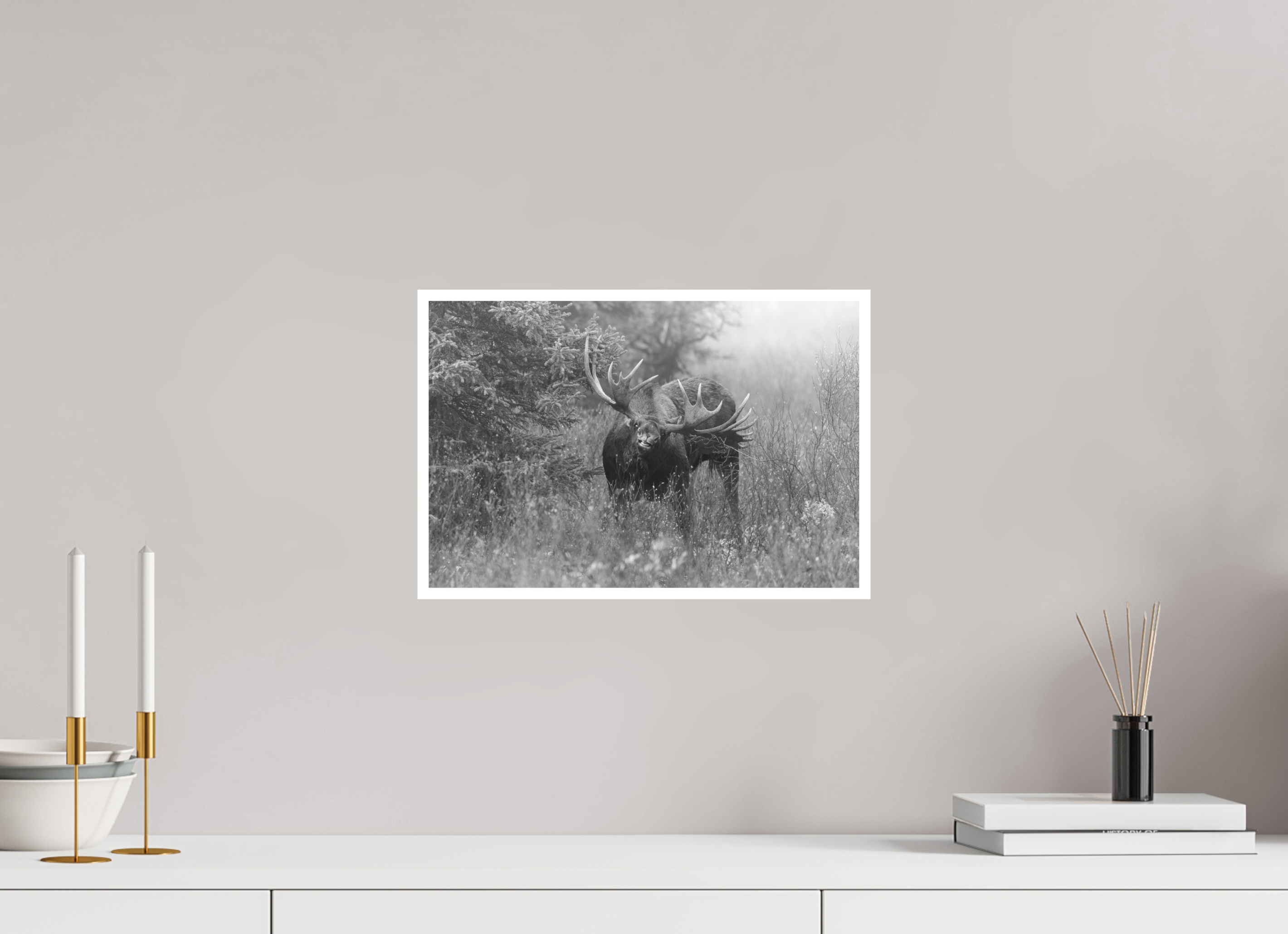 15 x 10″, Hahnemühle Photo Rag Moose Courtship