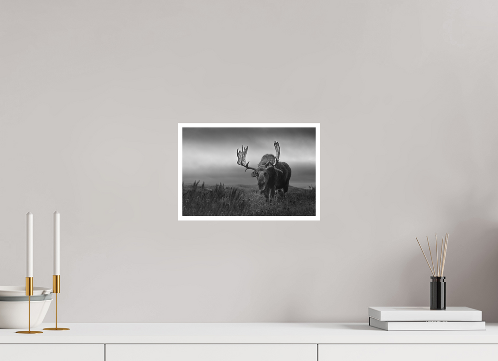 12 x 8″, Hahnemühle Photo Rag The King of the Tetons