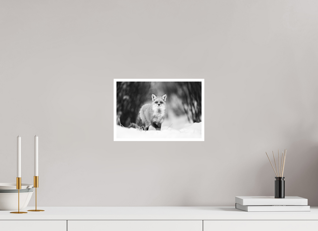 12 x 8″, Hahnemühle Photo Rag Silent Hunter of the Snow
