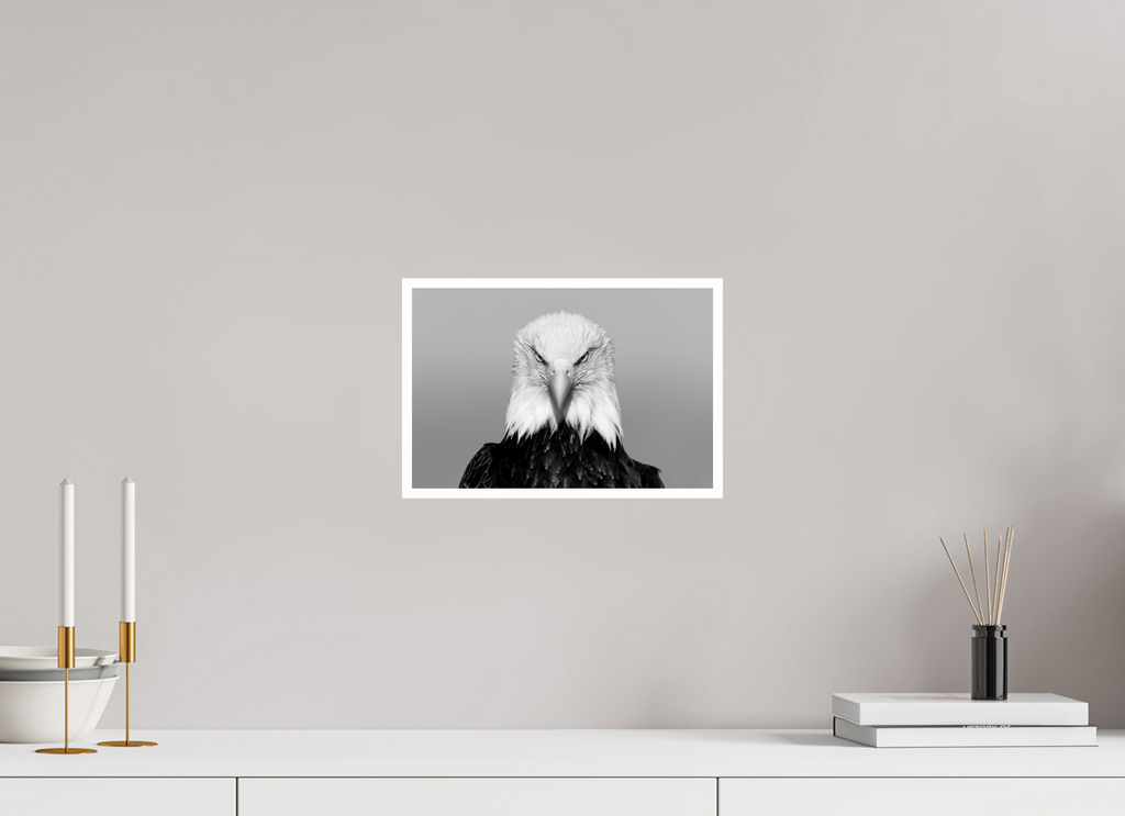 12 x 8″, Photo Rag Baryta The Watcher