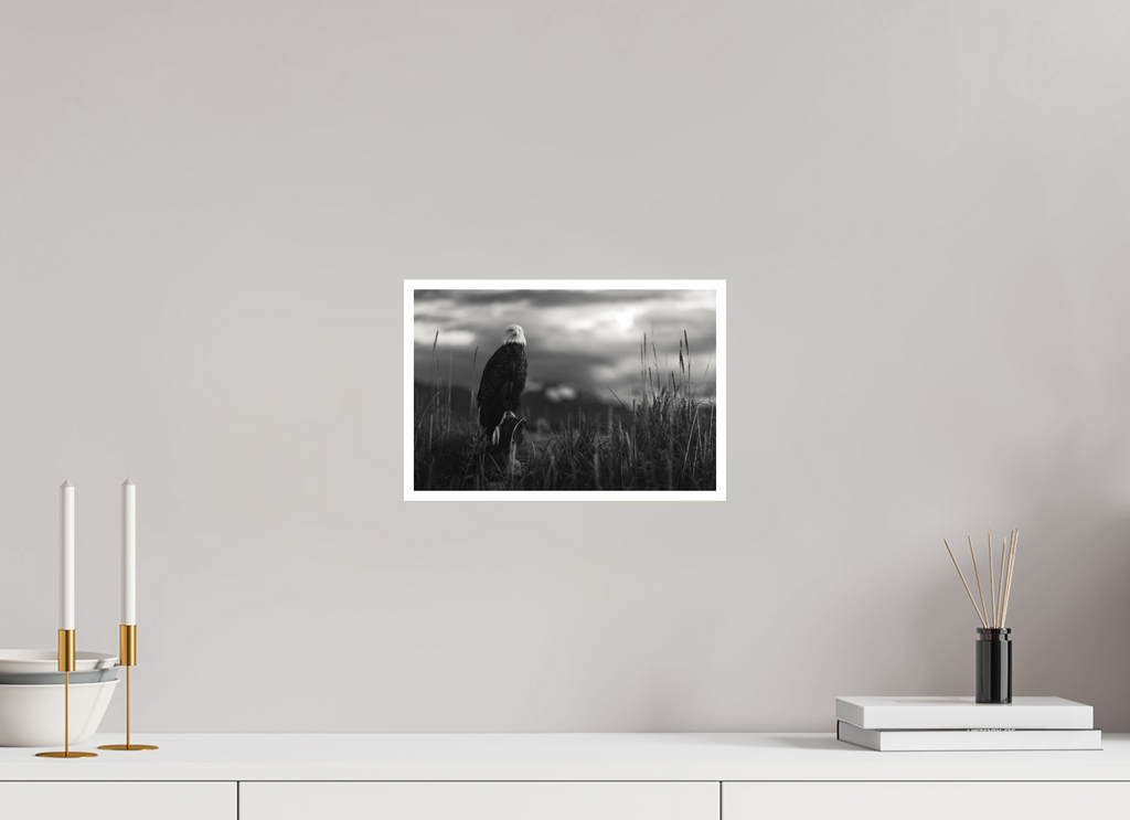 12 x 8″, Hahnemühle Photo Rag Stillness Before Flight