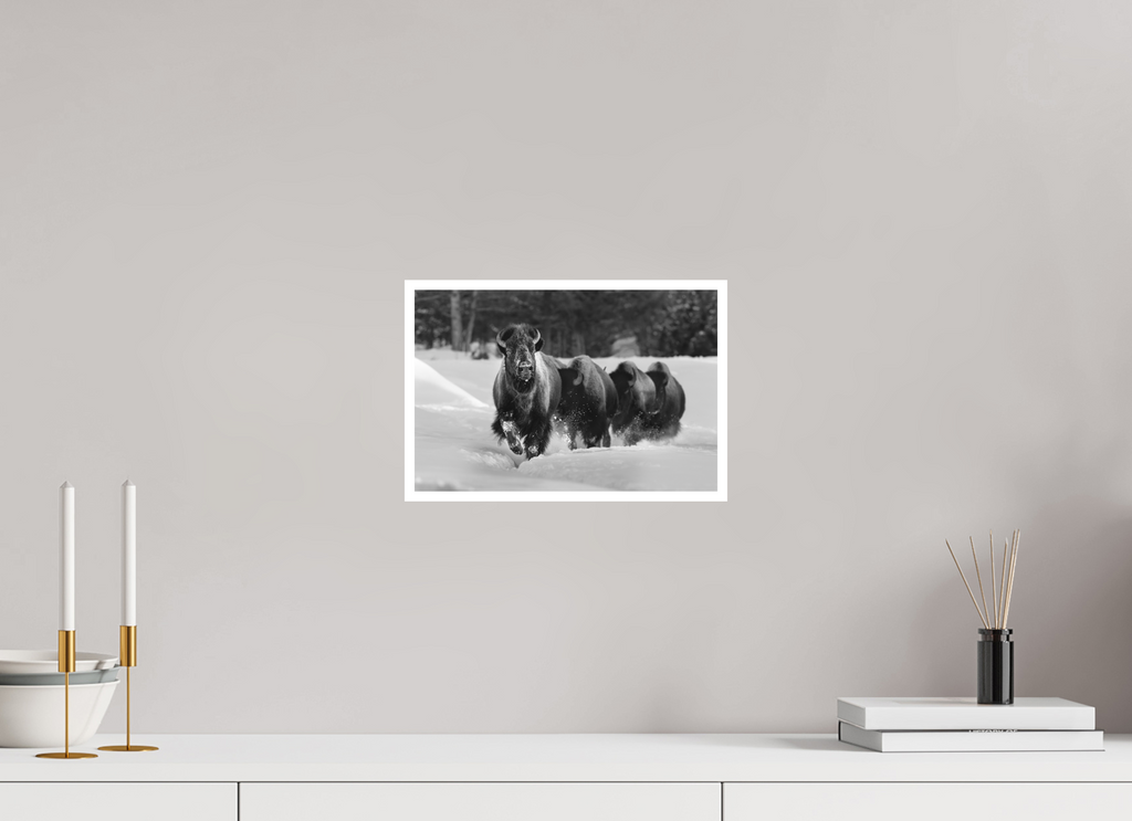 12 x 8″, Hahnemühle Photo Rag Charge Through Winter