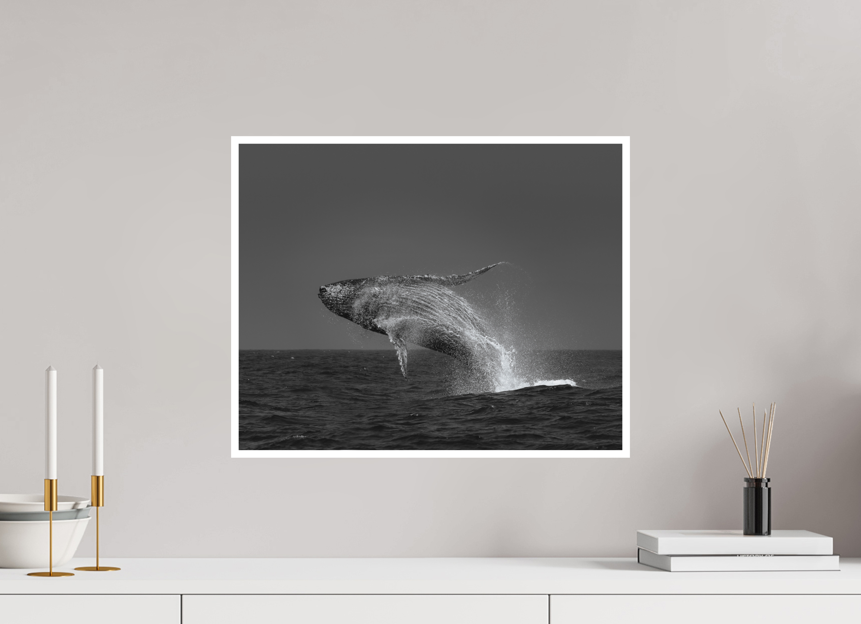 Humpback Whale’s Delight