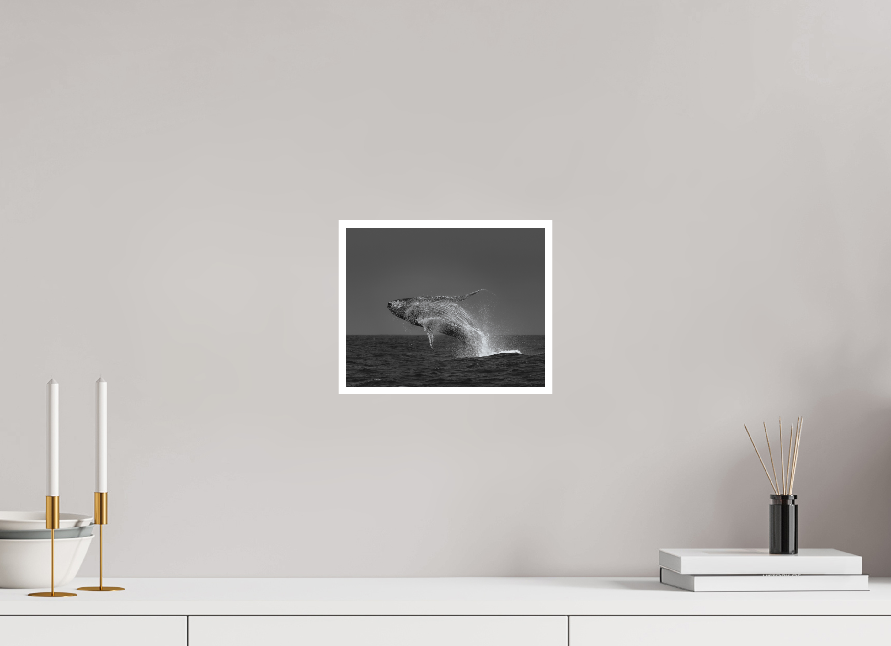 Humpback Whale’s Delight
