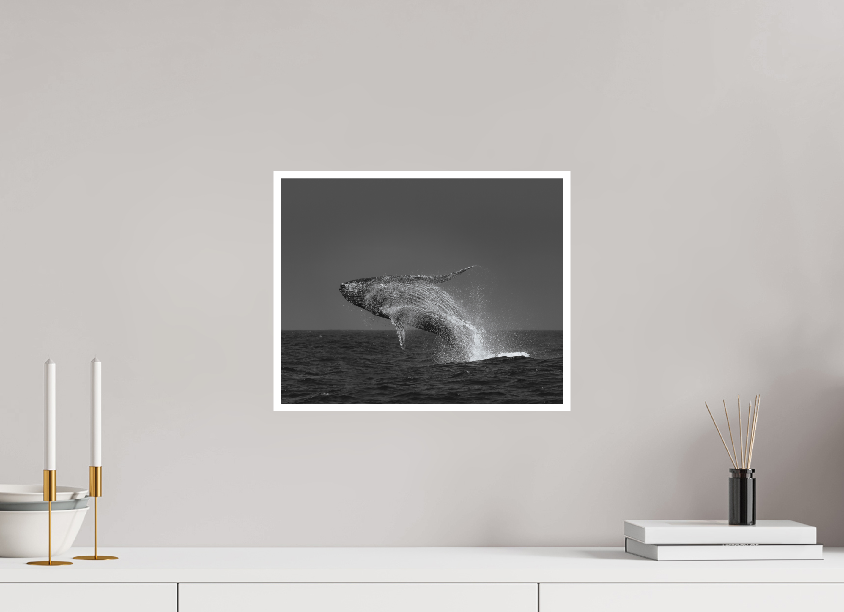 Humpback Whale’s Delight