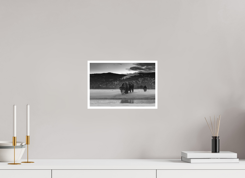 12 x 8″, Hahnemühle Photo Rag Strength in Winter