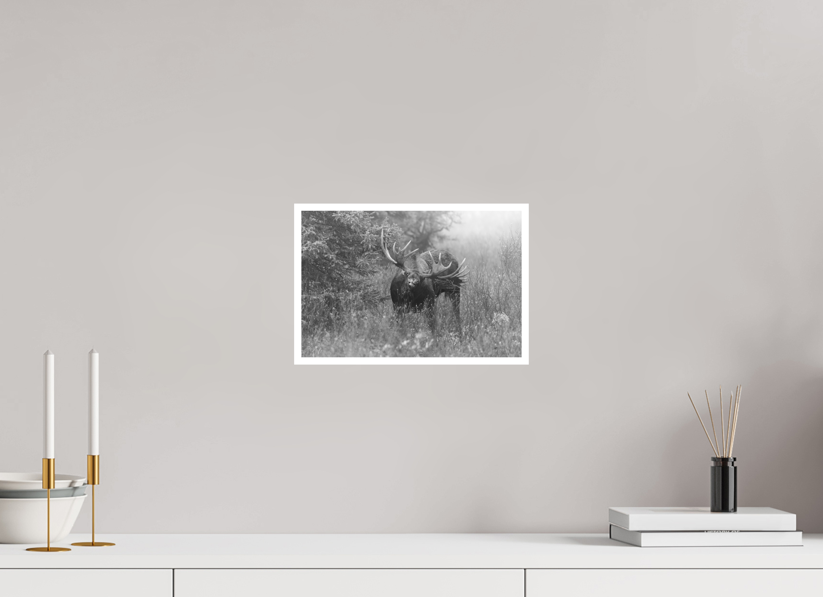 12 x 8″, Hahnemühle Photo Rag Moose Courtship
